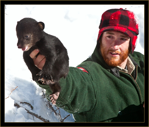 Matt Removing the Bear Cubs