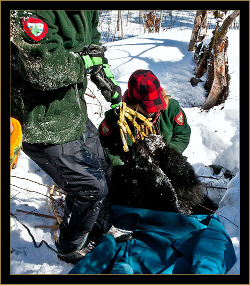 Extracting the Female Bear