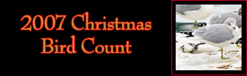 2007 Christmas Bird Count