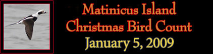 Matinicus Island Christmas Bird Count
