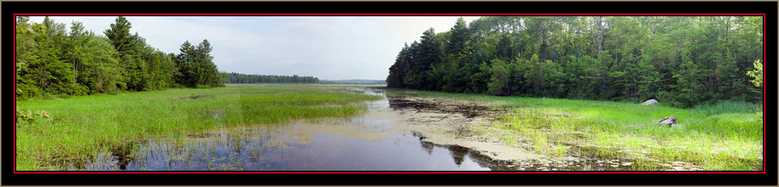 Composite View of Carlton Pond