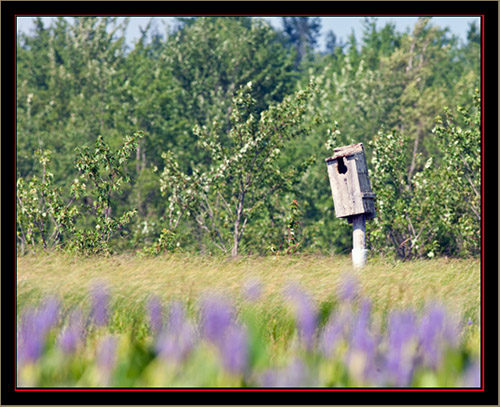 View at Carlton Pond Waterfowl Production Area