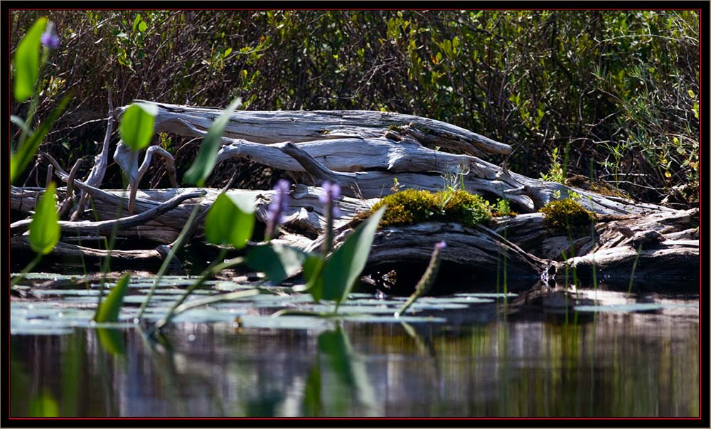 View at Carlton Pond Waterfowl Production Area