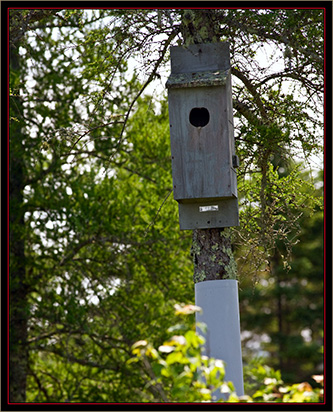 Nesting Box - Carlton Pond Waterfowl Production Area