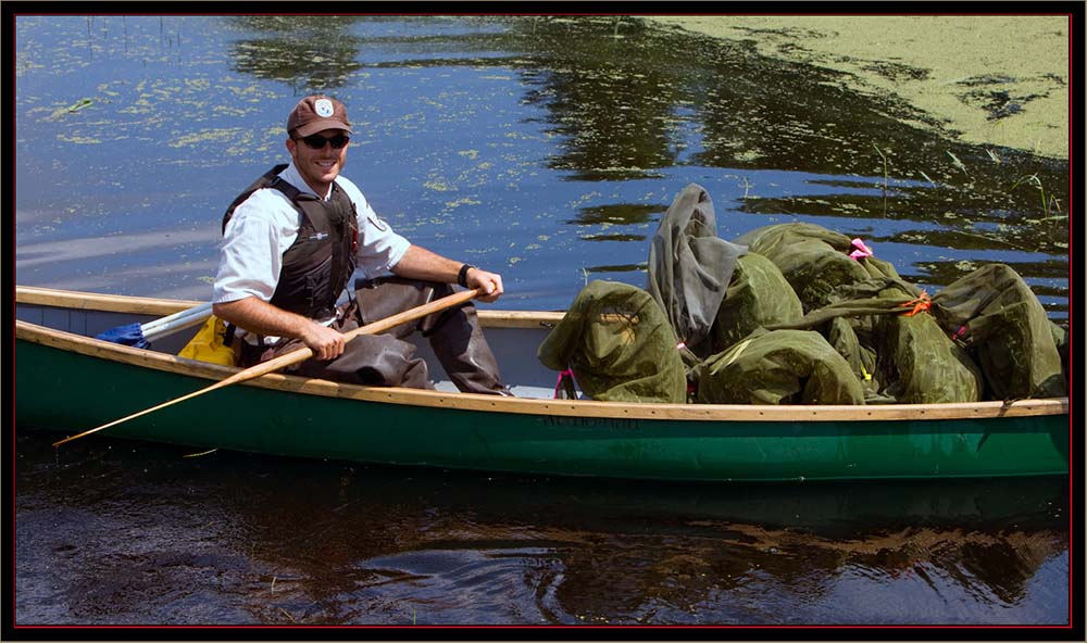 Steve Agius with a Canoe-load of Bio-control Beetles - Carlton Pond Waterfowl Production Area