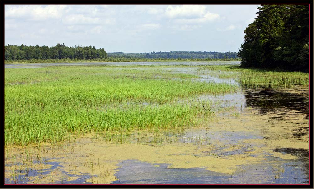 View at Carlton Pond Waterfowl Production Area