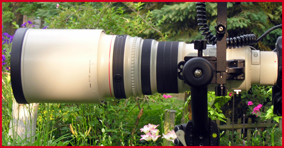 Canon 500mm F/4L Lens