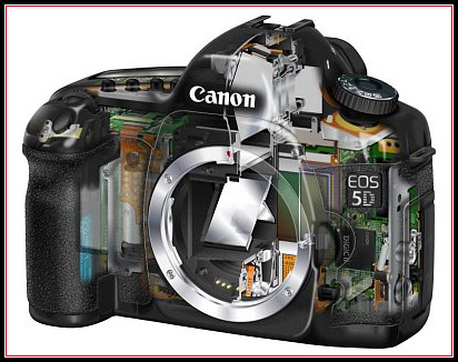 Canon 5D Cutaway