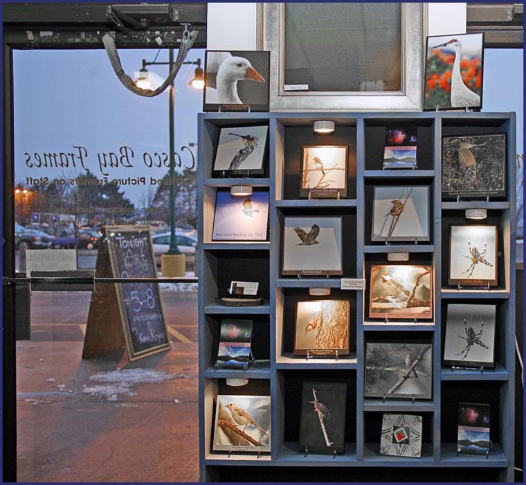 The 'Cubby Hole' Display