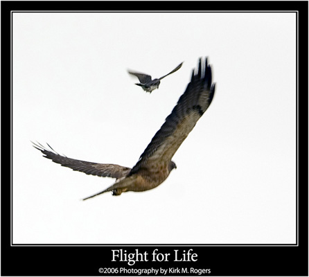Flight for Life