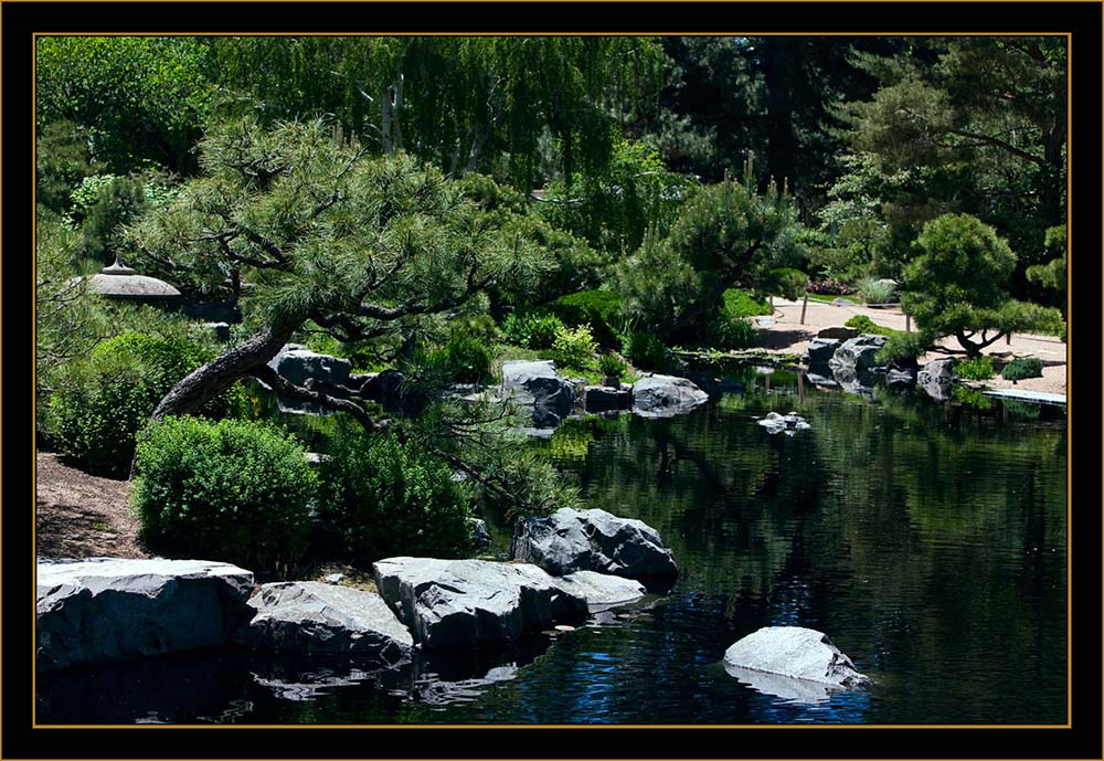 View From the Denver Botanical Gardens