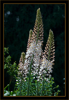 View From the Denver Botanical Gardens