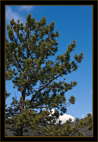 Rocky Mountain National Park