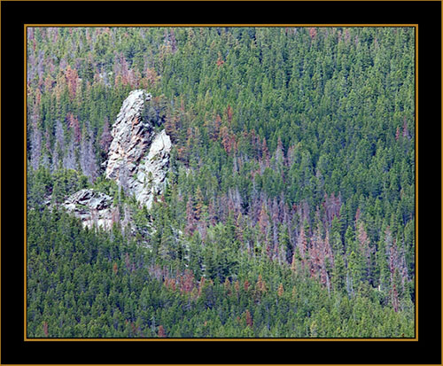 Scenic View - Rocky Mountain National Park