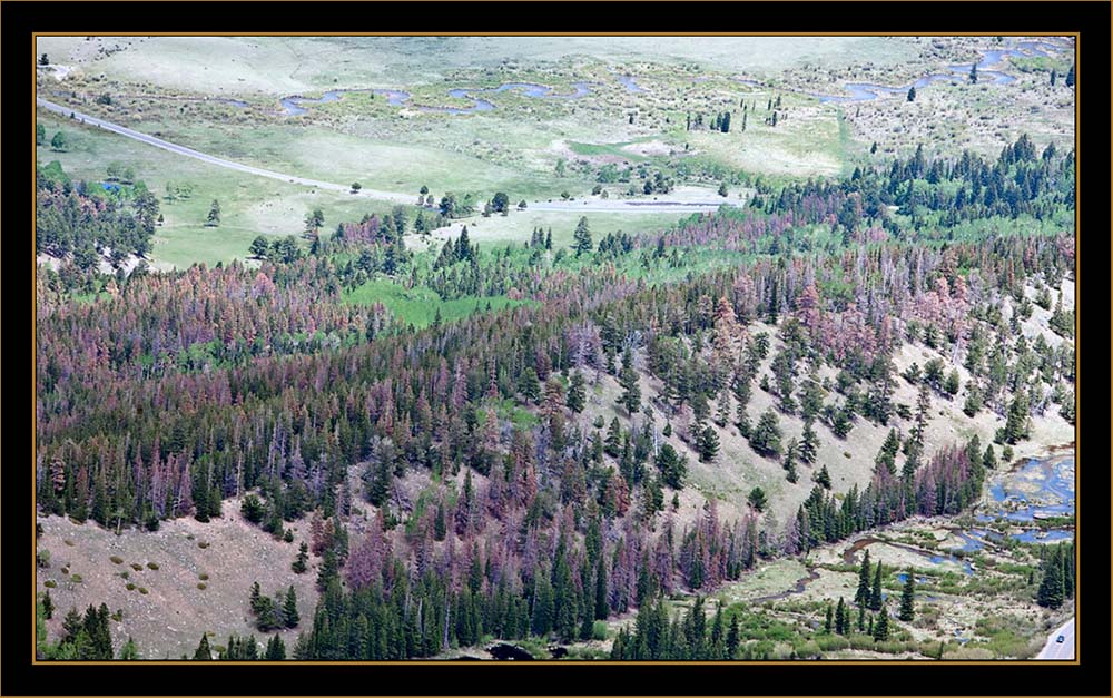 View From the Overlook - Rocky Mountain National Park