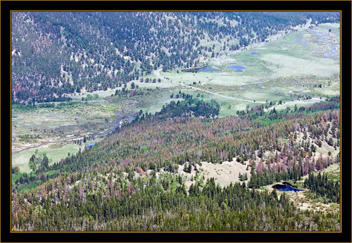 View From the Overlook- Rocky Mountain National Park