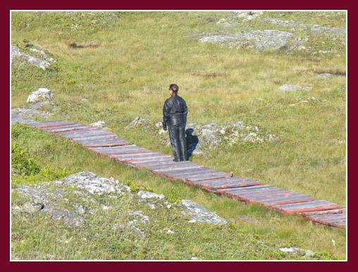 Linda on the Brachois Falls boardwalk