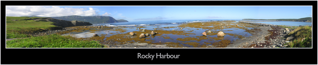 Rocky Harbour View