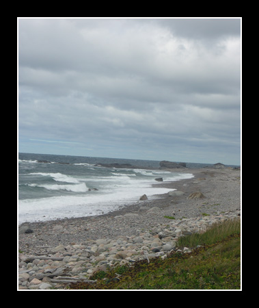 Overcast, Blustery Day