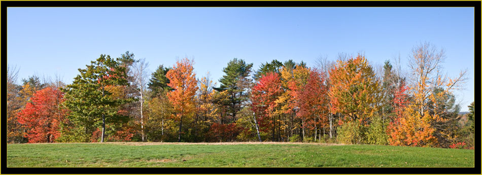 Fall Color in Maine