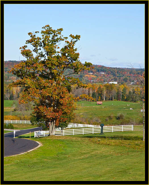 Entrance to the Farm - Pineland Center