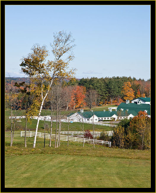 Looking Towards the Farm