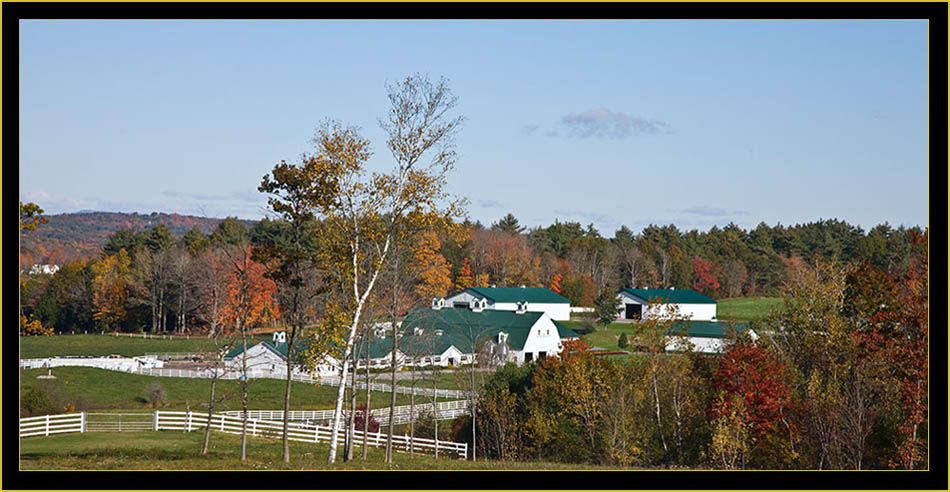 Farm View