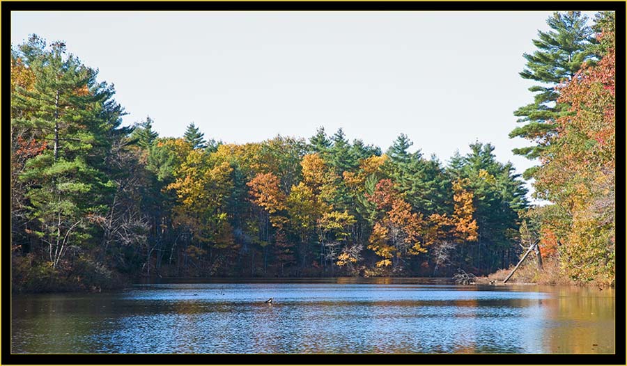 Royal River - New Gloucester