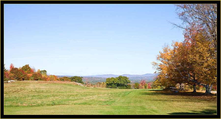 View From the Front Yard