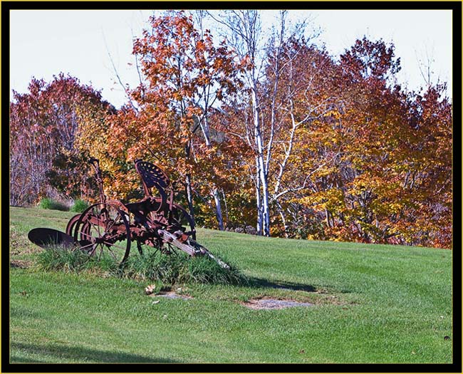 Side Yard View