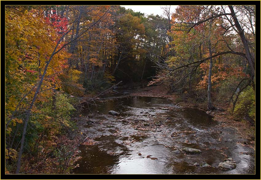 View From the Bridge