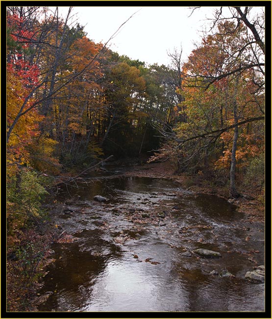 View From the Bridge