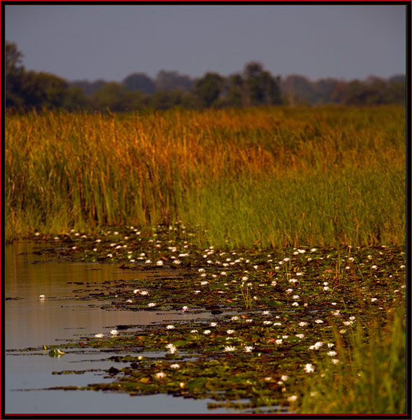 A Typical View in the Refuge