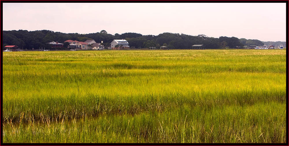 Amelia Island View