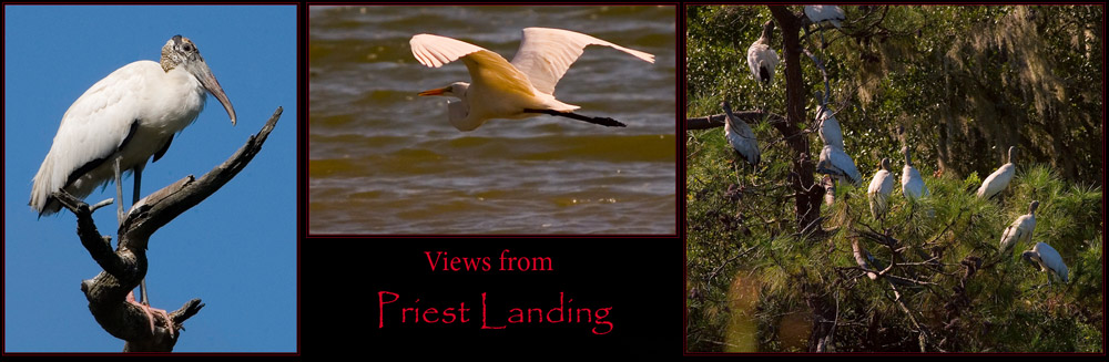 At Priest Landing