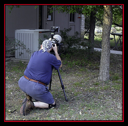 Seeking Hummingbirds - In the Shoot Zone