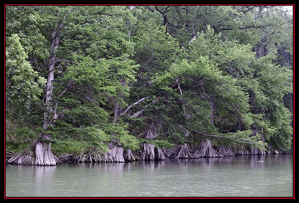 View Along the Guadalupe River, Spring Branch, Texas