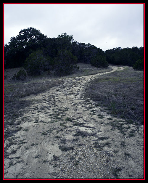 View Down the Path - Honey Creek State Natural Area