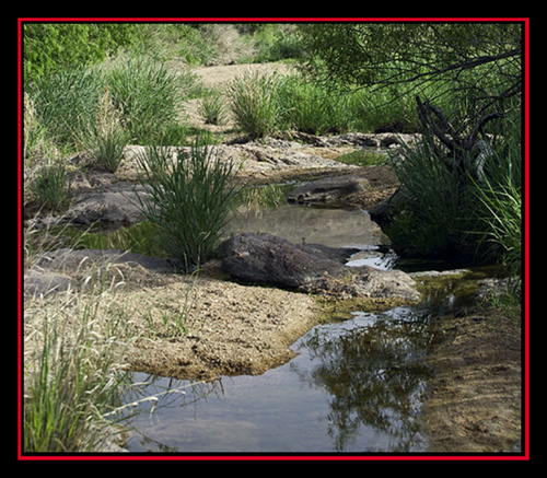 Around the Isolated Pools - Enchanted Rock State Natural Area