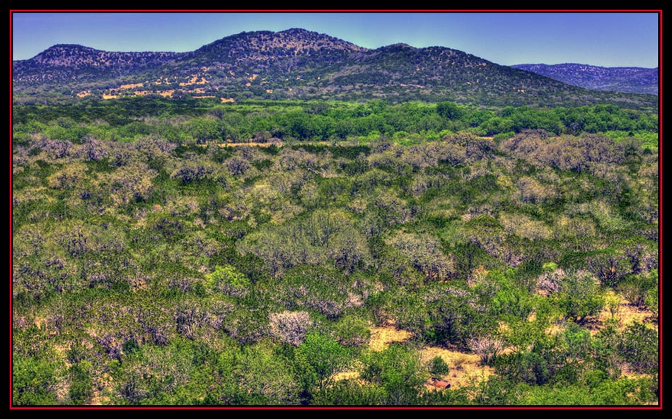 HDR View Near Lost Maples State Natural Area