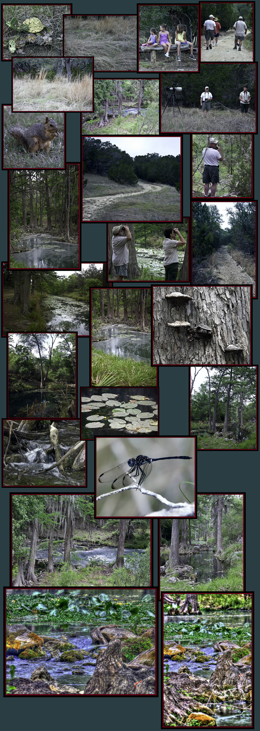 Views Around Honey Creek State Natural Area