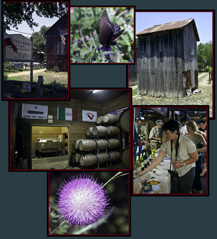 Visiting Sister Creek Vineyards - Sisterdale, Texas