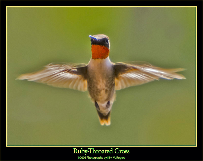 Hummingbird Cross