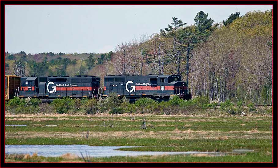 Train passing by Scarborough Marsh