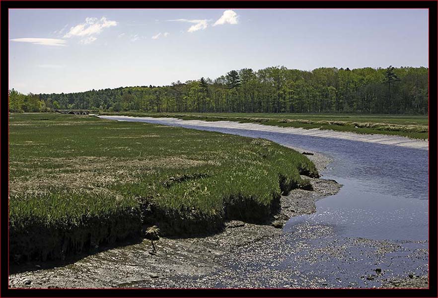 Marsh View