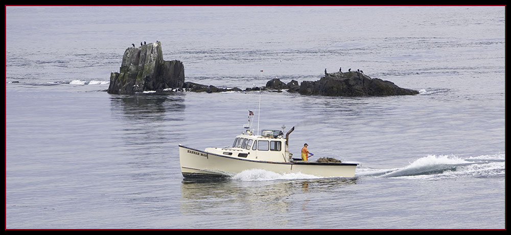 Lobstering off West Quoddy