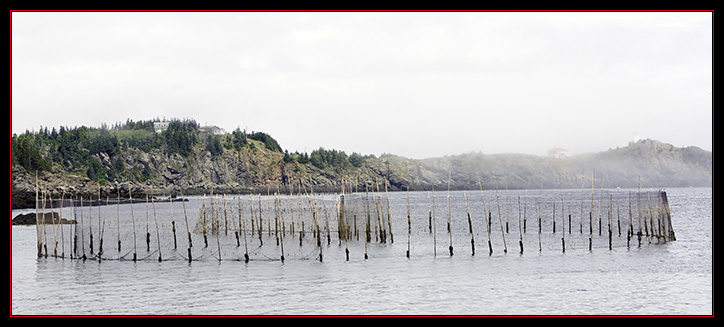 Fish Weir at Flaggs Cove