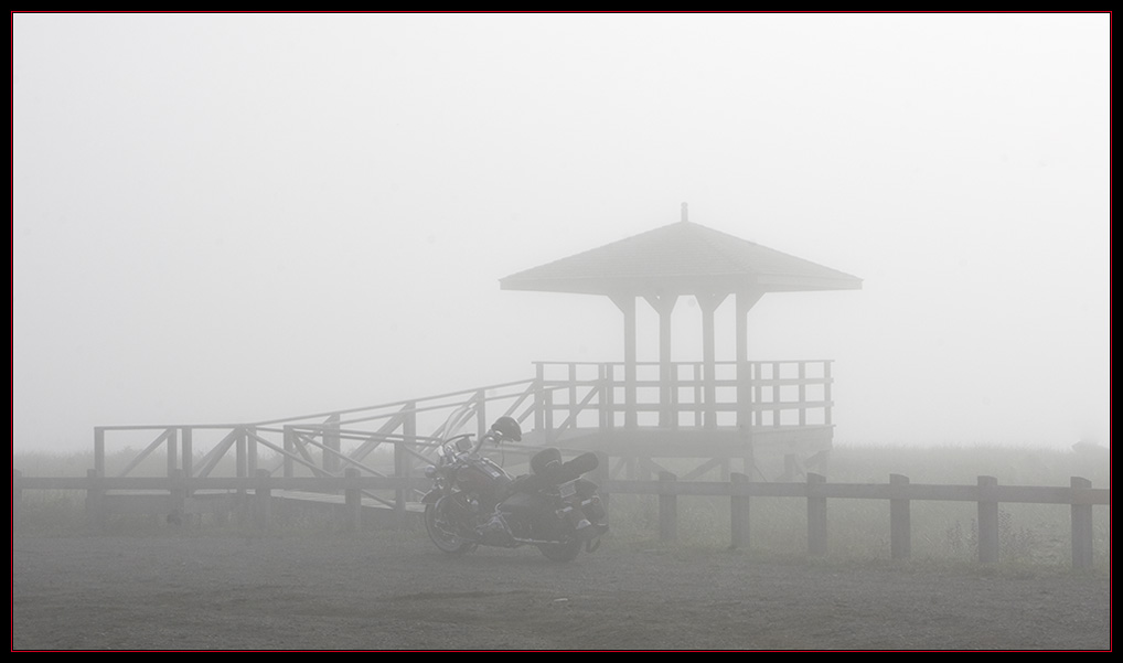 Foggy Morning Birding at Castalia Marsh