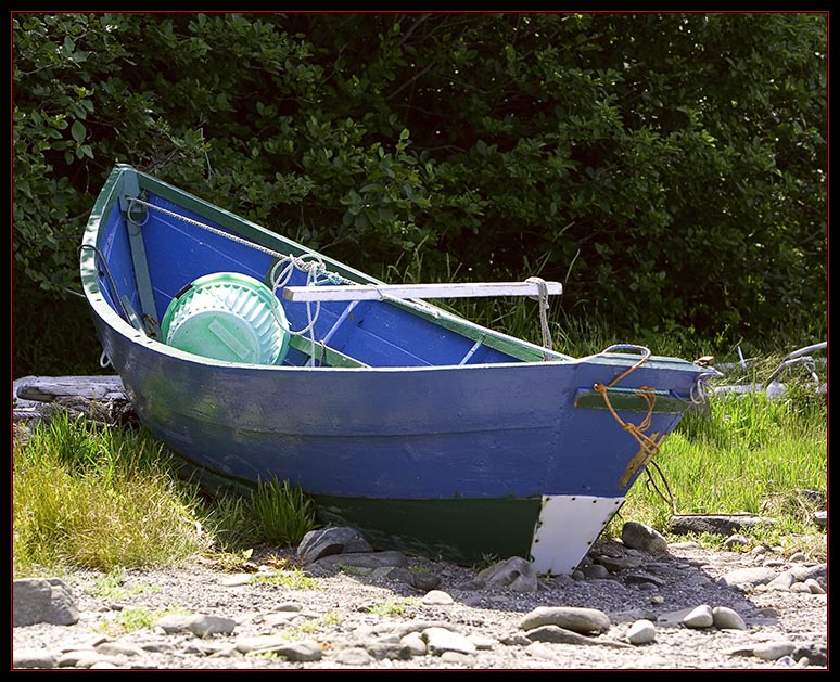 Beached Dory