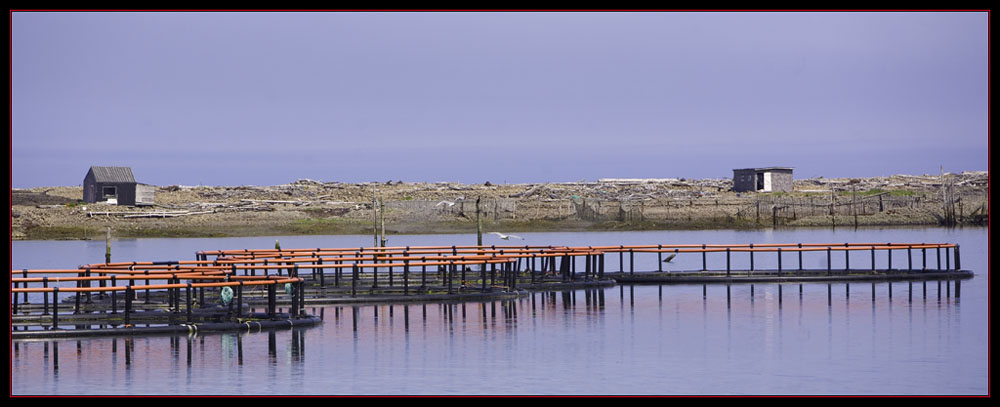 Dark Harbour View